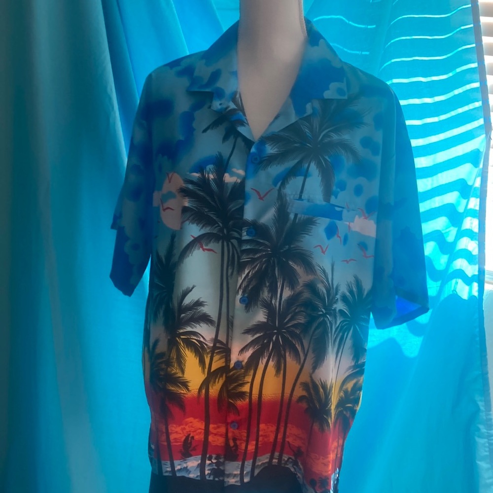 Multicolored “Hawaiian” style size large shirt.